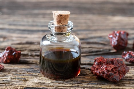 Dračí krev: zázračné vlastnosti Croton lechleri