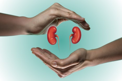 Únor z pohledu TČM: ledviny pramen života