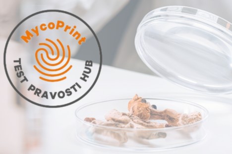 MycoPrint - test pravosti hub