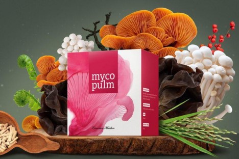Mycosynergy: Synergická symfonie pro harmonizaci vašeho těla