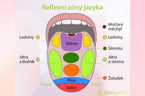 Jazyk jako zrcadlo zdraví