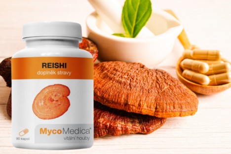 Reishi - zázračná houba