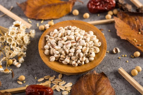 Slzovka obecná: tajemná rostlina s léčivými účinky