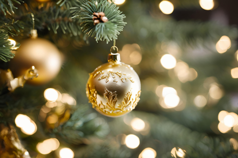 Vánoční provoz eshopu a prodejny