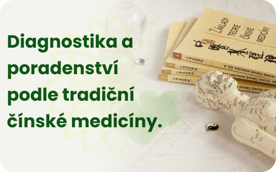 Poradenství a diagnostika dle tradiční čínské medicíny na Cestou přírody