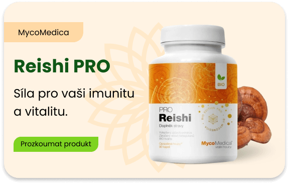 Reishi