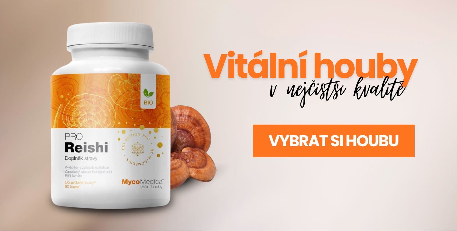 Houba reishi