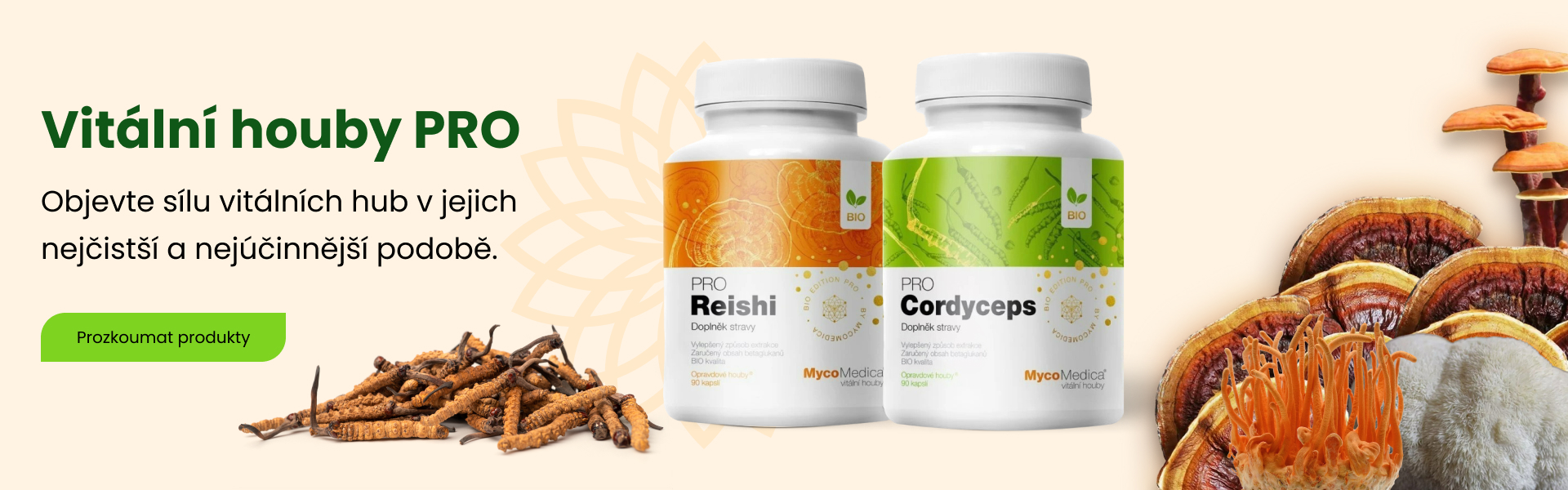 vitalni_houby