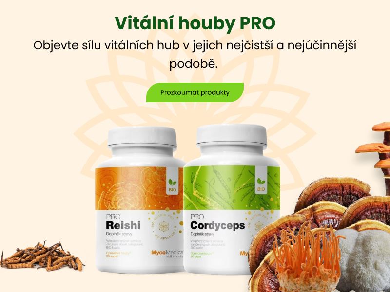 vytalne-houby_mob