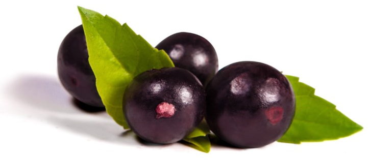 Acai plod