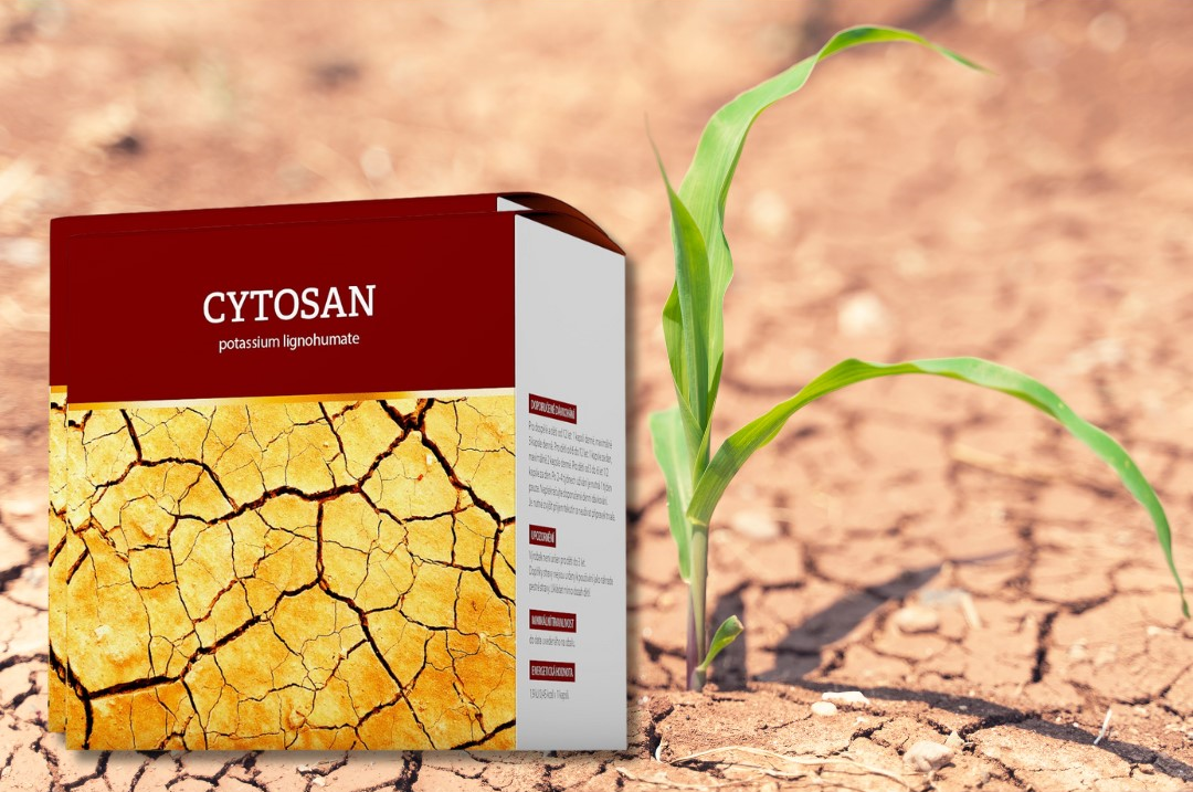 Cytosan