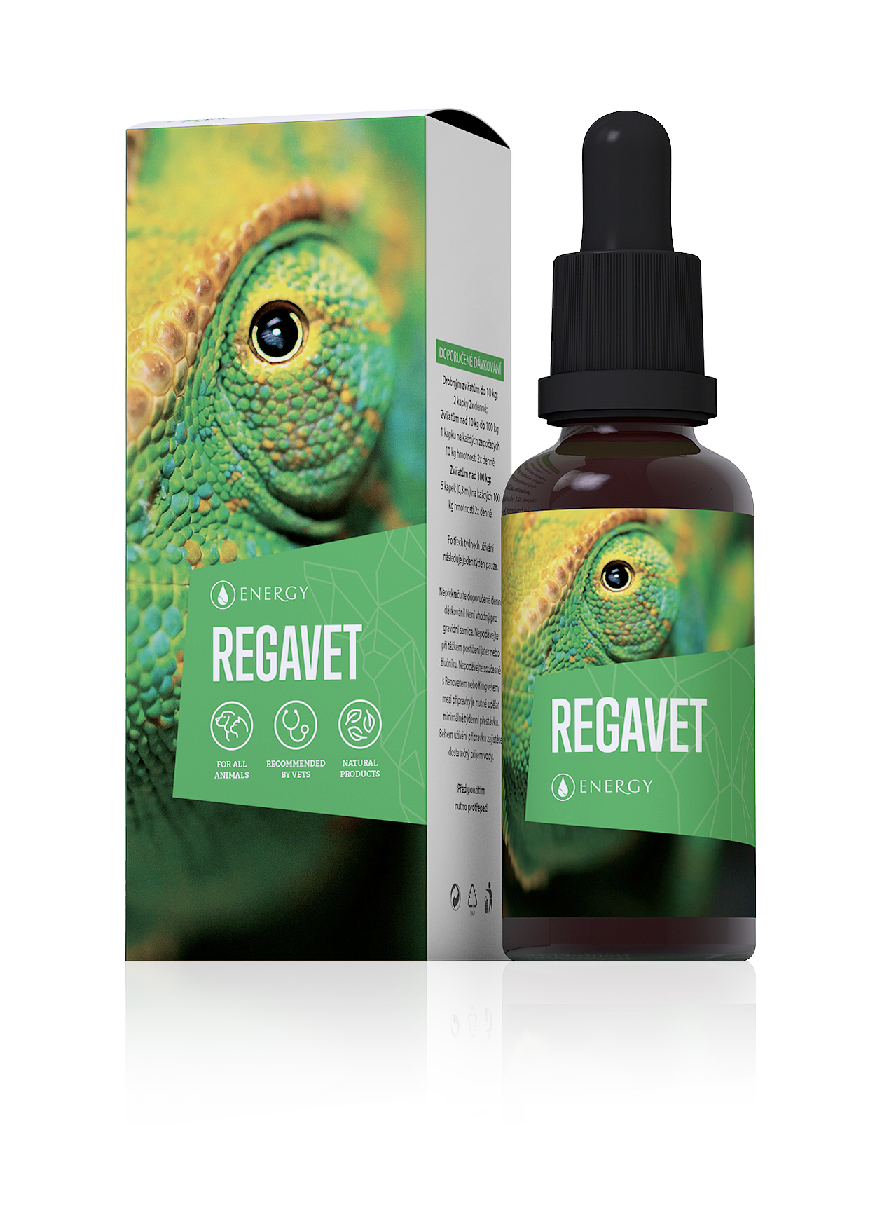Regavet_300dpi