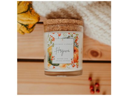 VONTREE CANDLE Sójová vonná svíčka | Hřejivá | Dýně & Skořice & Med - cestouprirody.eu