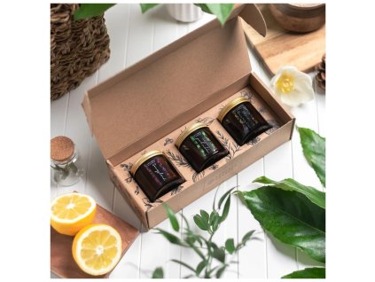 VONTREE CANDLE Dárková sada přírodních sójových svíček - Smyslná - 3 x 60 ml - cestouprirody.eu