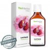 128 - Levá fazole, bylinná tinktura 50ml - cestouprirody.eu