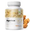 MycoMedica Agaricus PRO - cestouprirody.eu