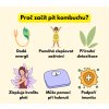 kombucha - cestouprirody.eu