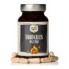 NaturalProtein Tribulus Blend 60 kapslí - cestouprirody.eu
