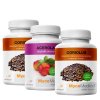 MycoMedica Coriolus 2× 90 kapslí + Acerola 90 kapslí