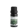 Nobilis Tilia Jedle 10 ml - cestouprirody.eu