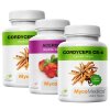 MycoMedica Cordyceps CS-4 2× 90 kapslí + Acerola 90 kapslí