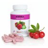 Acerola kapsle - cstouprirody.eu