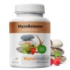 MycoMedica MycoBalance - cestouprirody.eu