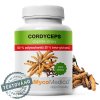 MycoMedica  Cordyceps 50 % - Housenice červená  - cestouprirody.eu