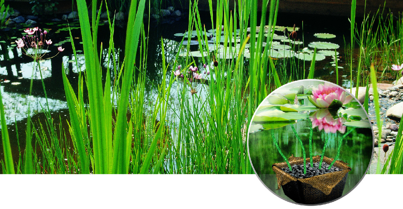 Heissner sázecí koš na vodní rostliny hranatý 23 x 23 x 13 cm