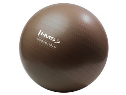 Gymnastická lopta HMS  bronzová yoga ball CFshop.sk - Bronze