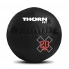 wall ball 9kg thornfit