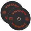 2x Kotúč 25kg - tréningový