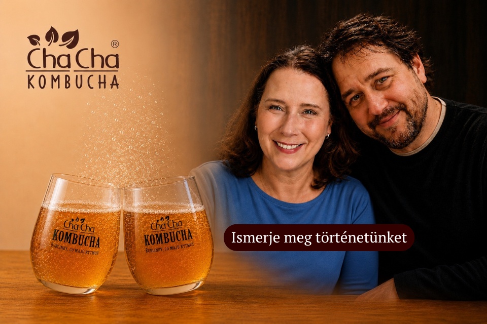 kombucha-hungary