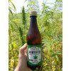 Kombucha napoj