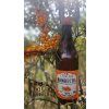 zdravie-a-kombucha
