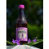 zdravie-kombucha-napoj
