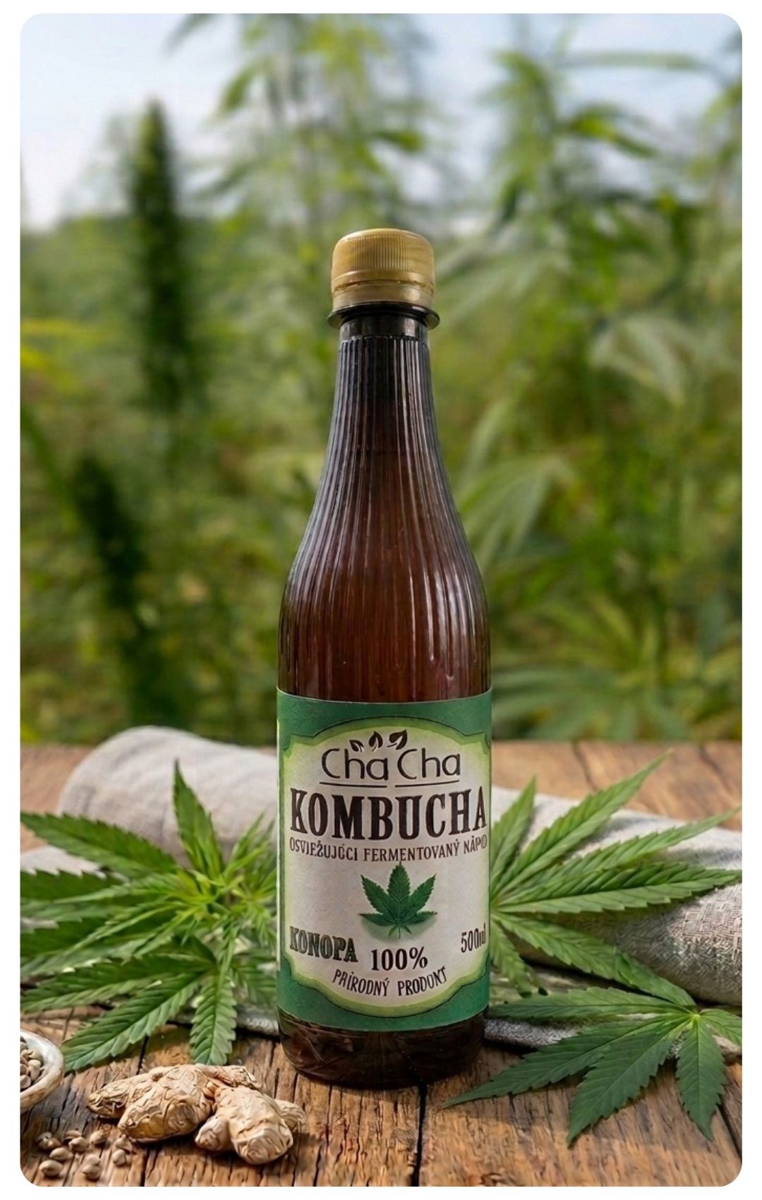 Konopa Kombucha