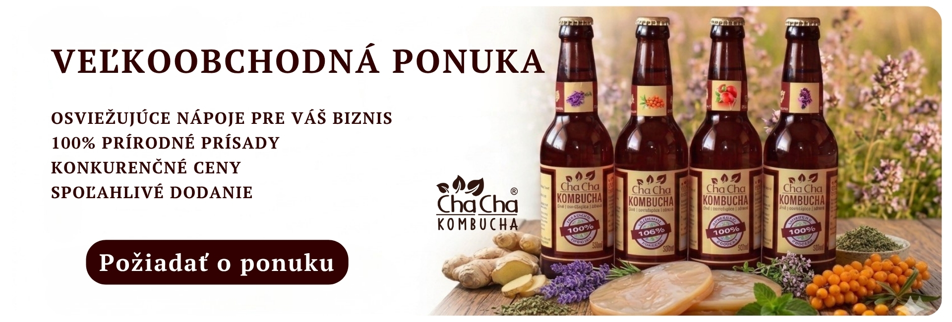 Slovenská kombucha výrobca