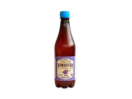 kombucha-napoj