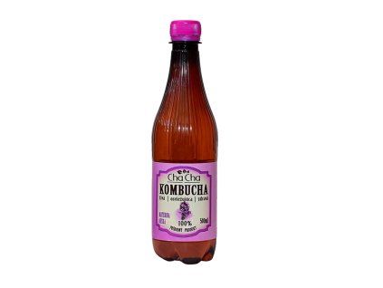 zdravie-kombucha-napoj
