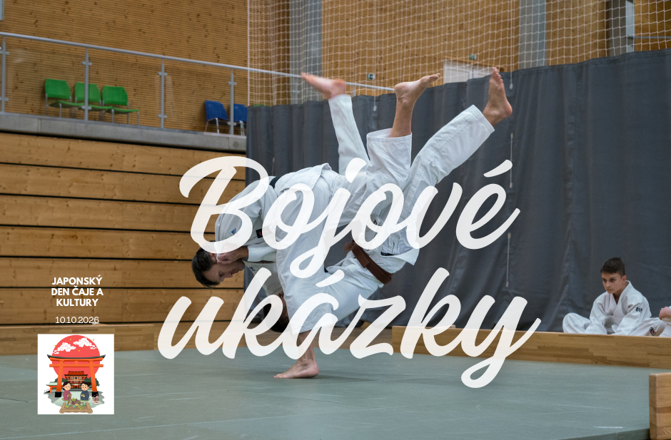 Bojové ukázky