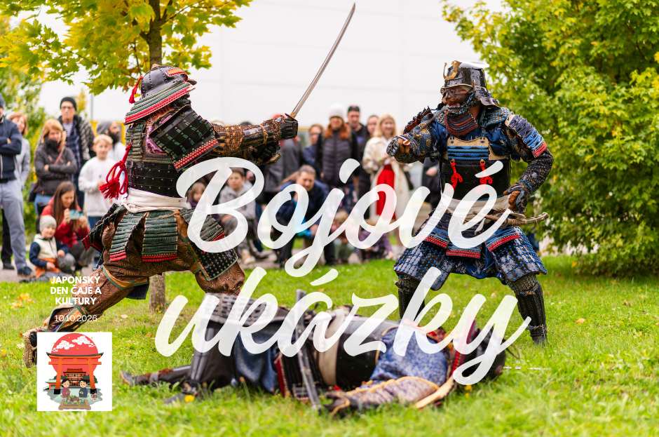 Bojové ukázky