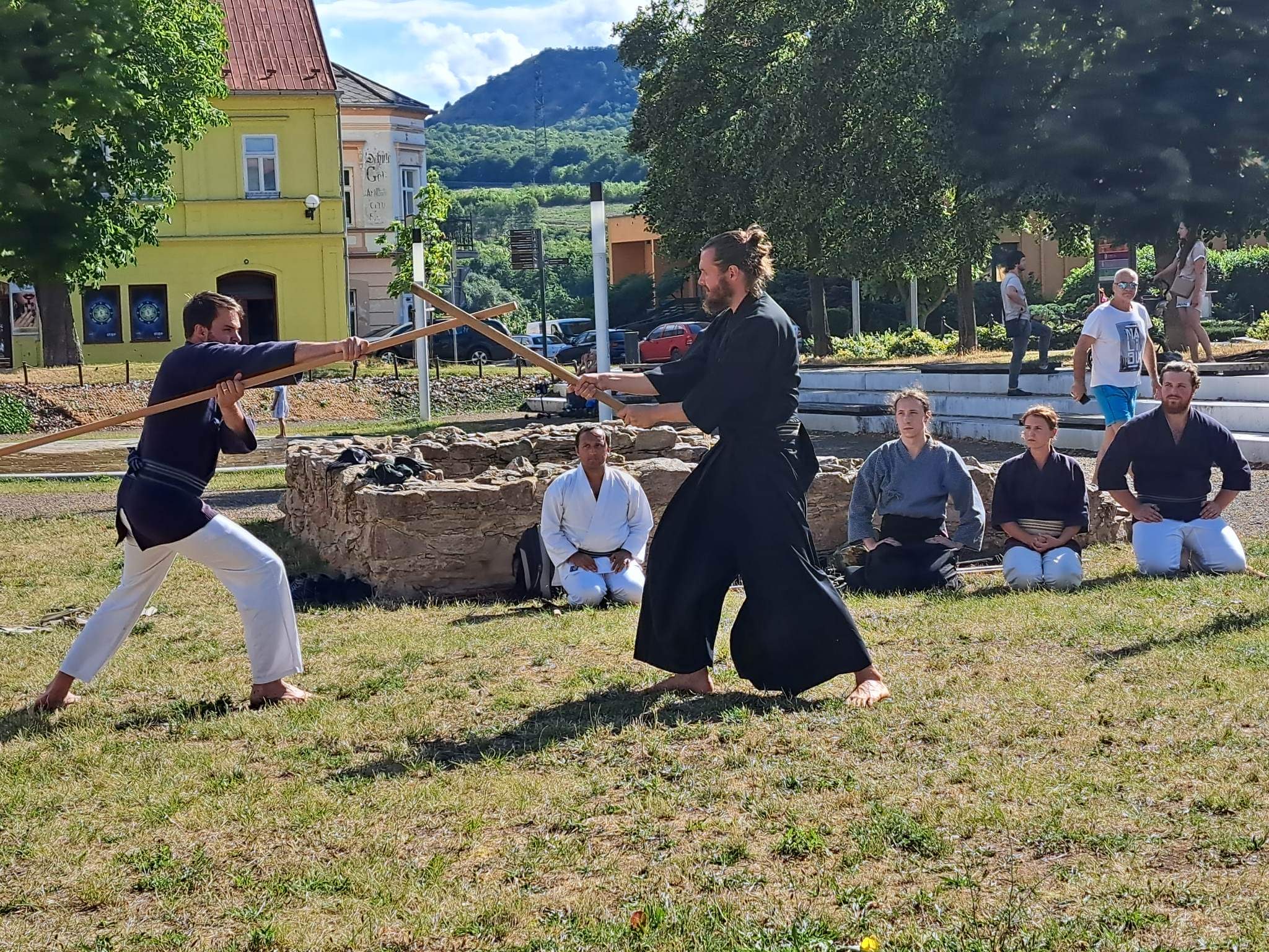 Mushin Dojo