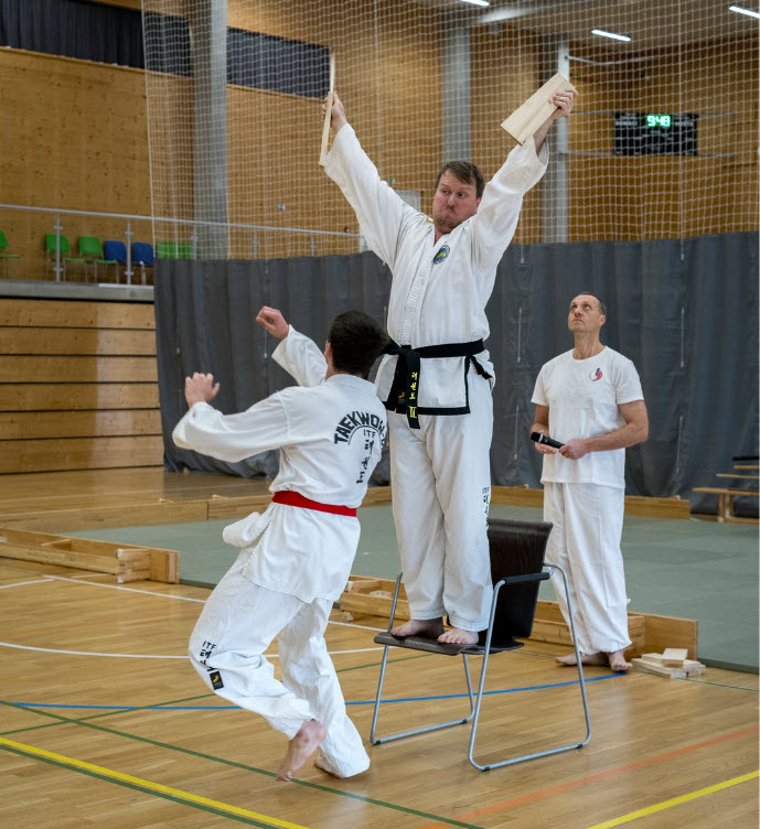 Taekwondo