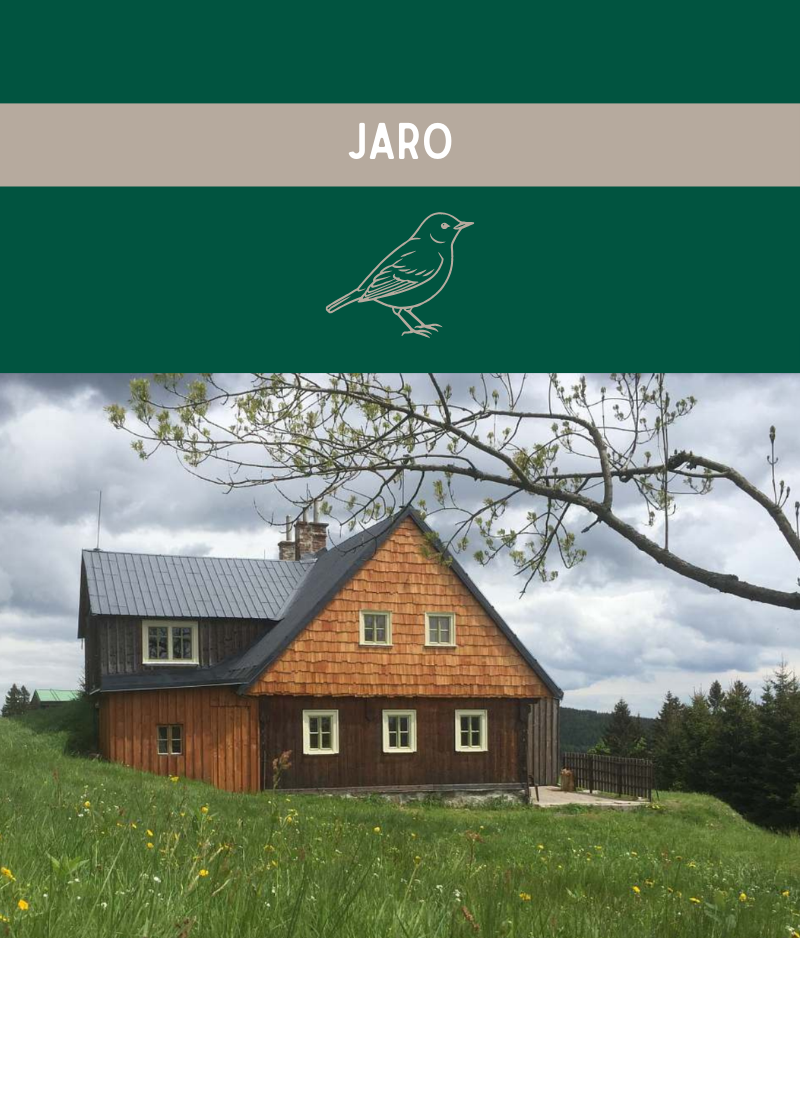 Top banner - Jaro
