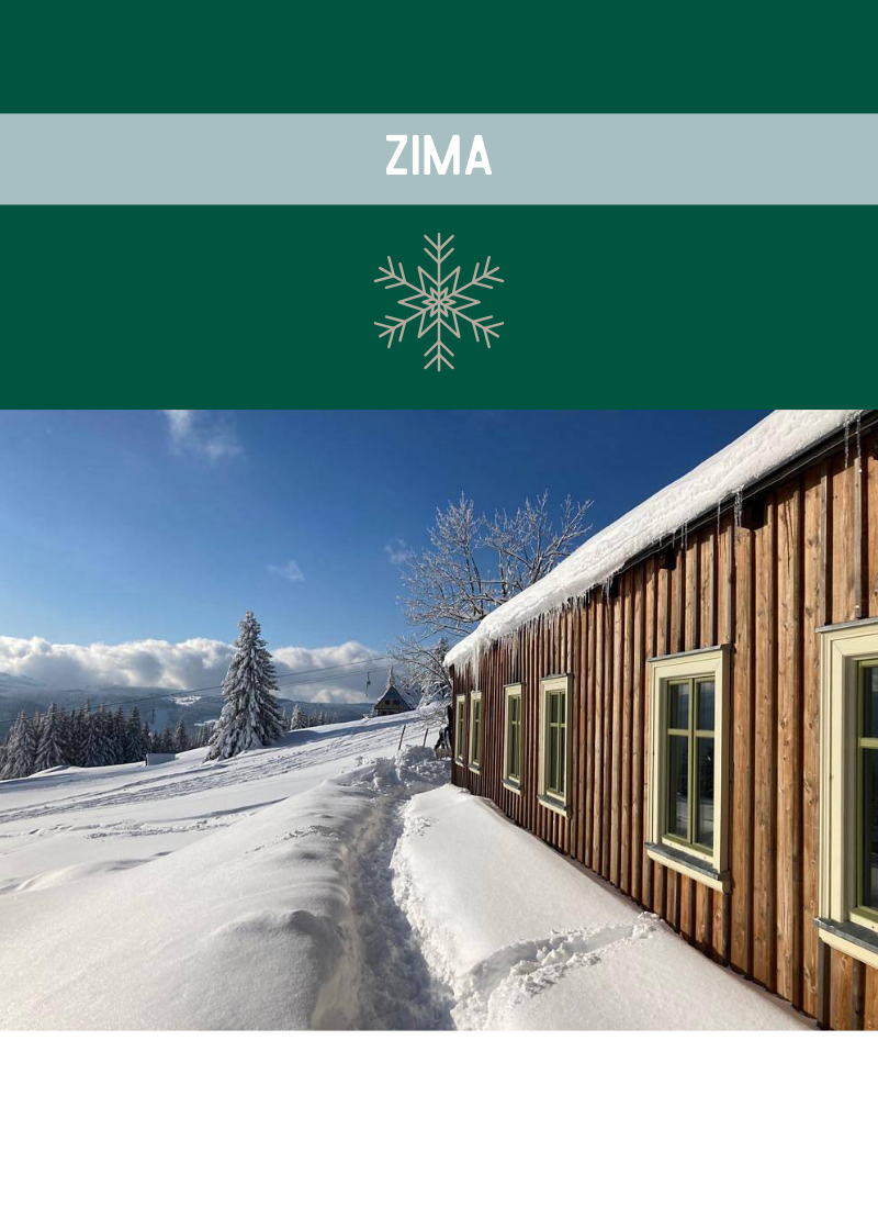 Top banner - Zima