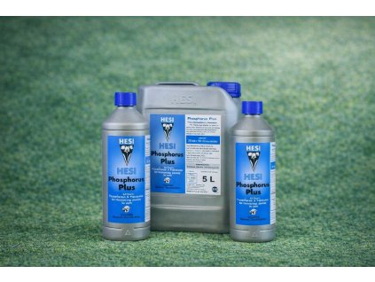 116F2B85 07C6 48B6 A797 33FB63BE2B70