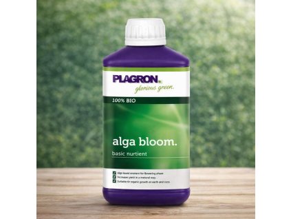 8FD29374 67A6 43E7 9F09 0DDDA2BA5C02