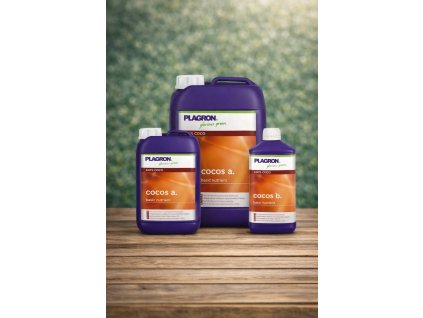 88C20828 196F 4D03 8122 64F58F166FC8