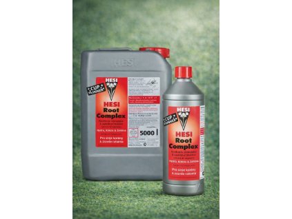 1B3C68C9 11EF 4A23 8055 5CCE5120FDEA